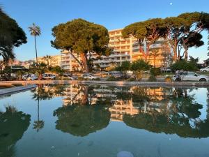 戛纳Apartment Cannes Rico Beach的水库中建筑物的反射
