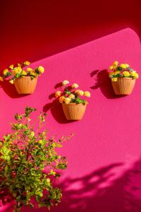拉戈斯Vila Graciosa - Tranquility Oasis的粉红色表面上三块纸杯蛋糕,上面有花