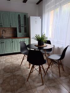 MichałkowaSłoneczny dom的厨房配有绿色橱柜和桌椅