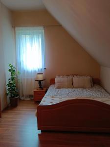 MichałkowaSłoneczny dom的一间卧室设有一张床和一个窗口