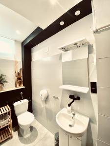 奥斯特基基格恩Połoninka的浴室配有白色卫生间和盥洗盆。