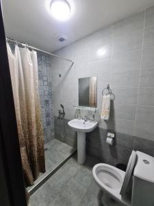 撒马尔罕Hotel Anor的一间带水槽、卫生间和淋浴的浴室