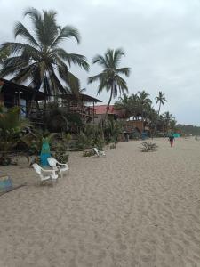 GuachacaBob Marley Beach的沙滩上摆放着椅子和棕榈树