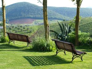 蒙蒂亚诺Podere Cavone - Casale degli Ulivi的两个公园长椅,坐在山上,享有美景