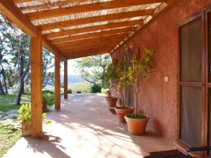 蒙蒂亚诺Podere Cavone - Casale degli Ulivi的种植了盆栽植物的门廊和木制凉棚