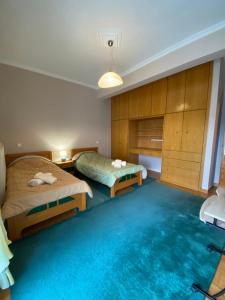卡尔派尼西翁Sitara's House的一间卧室配有两张床,铺有蓝色地毯