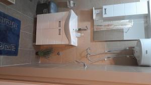 哥鲁拜克Sun and river Apartments的浴室的柜台设有水槽和镜子