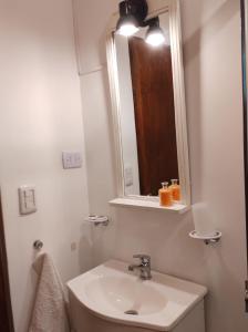 圣卡洛斯-德巴里洛切Cabaña en Bosque Nativo的白色的浴室设有水槽和镜子