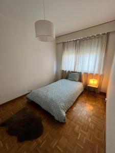 韦尔苏瓦Agréable appartement près du lac的一间带床的卧室,位于带窗户的房间内