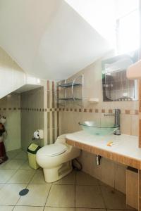 阿亚库乔Hotel San Francisco de Paula Ayacucho的一间带卫生间和水槽的浴室