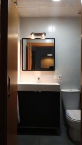 塞维利亚Fabuloso apartamento en Triana的一间带水槽、卫生间和镜子的浴室
