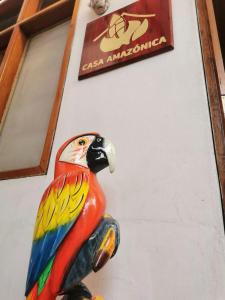 伊基托斯Hospedaje Casa Amazónica Iquitos的坐在墙上的彩色鹦鹉雕像