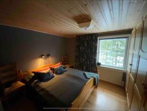 洛夫斯达伦Mountain Cabin Lofsdalen的一间卧室设有一张床和一个大窗户