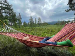 Mountain Cabin Lofsdalen平面图