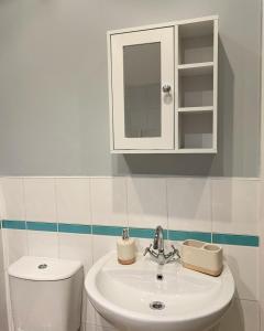 卡迪夫Cardiff Home的一间带水槽、卫生间和橱柜的浴室