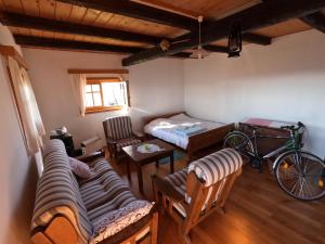 Traditional Croatian Cabins with Spa的卧室里配有床和自行车