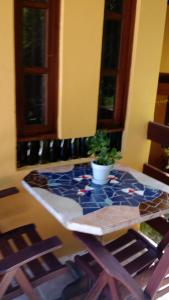 普拉亚多旗鱼旅馆的桌子上摆着盆栽植物