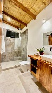 圣塔特蕾莎海滩Villas Paraiso Azul的浴室配有卫生间、淋浴和盥洗盆。