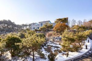 横城Hoengseong Haru Self check-in Hotel的山丘上树木和雪的房屋