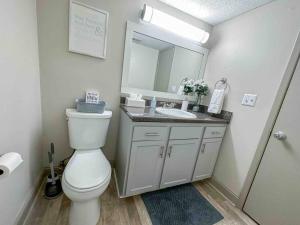 伯明翰WOO LOFT- King Bed- Downtown BHM的一间带卫生间、水槽和镜子的浴室