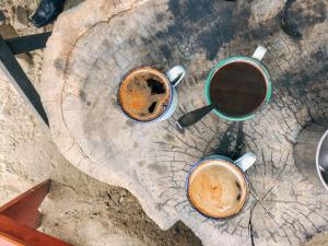 巴利盖BRUSSELS HOMESTAY BALIGE的两杯咖啡坐在树桩上