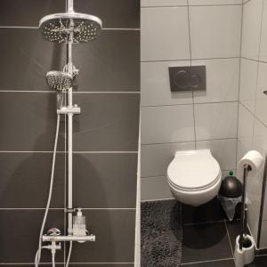 波鸿Uni-nähes Apartmenthaus mit Garten的一间带卫生间和淋浴的浴室