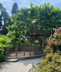 科莫Lake Como Dream Tree House的花园中的一个树屋