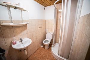 摩拉瓦新村维尼斯科普乌特例滋加库巴酒店的浴室配有卫生间、盥洗盆和淋浴。