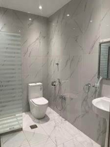 代瓦西尔干河فندق ارجان بارك Arjan Park Hotel的白色的浴室设有卫生间和水槽。