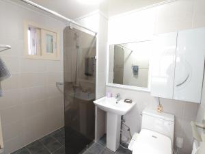 济州市Eutteum-won Pension的浴室配有卫生间、盥洗盆和淋浴。
