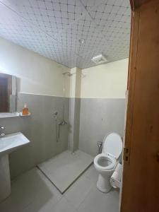 Alīābādapplegardenhunza的一间带卫生间和水槽的浴室