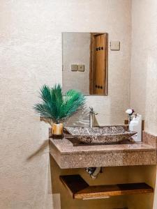尼兹瓦Alaqur View Inn نزل واجهة العقر的一间带盆子和盆子的浴室