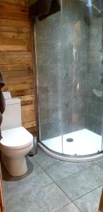 SwafieldLILAC COTTAGE cabin的一间带卫生间和玻璃淋浴间的浴室