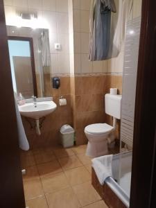 韦切什费里海吉酒店的一间带卫生间和水槽的浴室