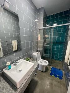 明德卢Tia Nita Apartamentos的一间带水槽、卫生间和淋浴的浴室