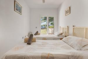 阿尔豪林德拉托里Ayma Apartamento Dodge Lauro golf的配有2张床的白色墙壁和窗户。