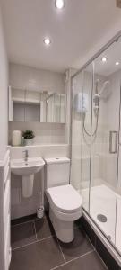 格拉斯哥Merchantcityflat的浴室配有卫生间、淋浴和盥洗盆。