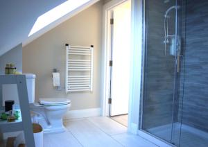 Àit Sèan Òg - 2bedroom self catering apartment的一间带卫生间和玻璃淋浴间的浴室