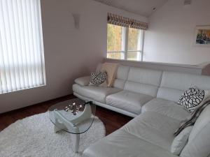 波里Villa Kilpäkki的客厅配有沙发和桌子