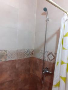 波特雷里约斯Cabañas El Fogón的带淋浴和浴帘的浴室