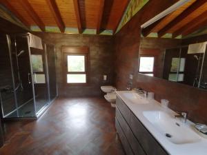PENSIÓN RÚSTICA SANTA MARIÑA DA PONTE的一间带两个盥洗盆、淋浴和卫生间的浴室