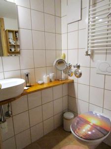 康斯坦茨FeWo Sonne的一间带水槽和卫生间的小浴室