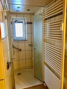 Mengersgereuth-HämmernAuszeit - a84018的带淋浴的浴室和玻璃门