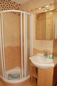 弗林布尔克佩西恩马库斯酒店的带淋浴和盥洗盆的浴室