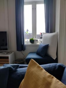 奥勒松Light home apartment Alesund with free parking的客厅设有蓝色的沙发和窗户。