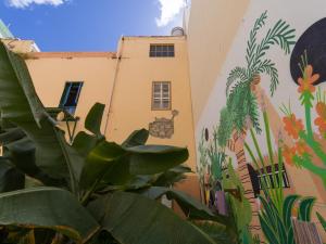 大加那利岛拉斯帕尔马斯Jungle House的一面有壁画的建筑
