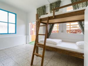 大加那利岛拉斯帕尔马斯Jungle House的双层床间 - 带两张双层床和一扇窗户