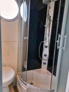 菲尔斯滕贝格Hausboot STEHEND Grey Pearl的带淋浴和卫生间的小浴室
