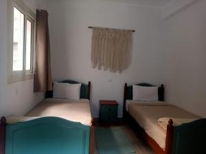 开罗Champollion Hostel的带窗户的客房内设有两张单人床。