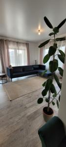 DumbrăviţaRental house的客厅配有蓝色沙发和植物